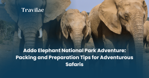 Addo Elephant National Park packing tips