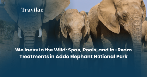 Wellness in the Wild Spas, Pools, and In-Room Treatments in Addo Elephant National Park