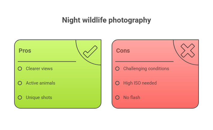 Night Drives and Wildlife Encounters: Adventure Awaits at Augrabies Falls