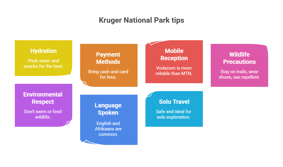 How to Experience Augrabies Falls Solo: The Ultimate Guide for Independent Travelers 4 How to Experience Augrabies Falls Solo: The Ultimate Guide for Independent Travelers